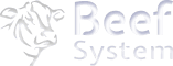 Beef System